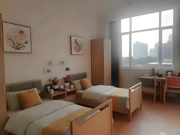 狂妄丫鬟掠王心