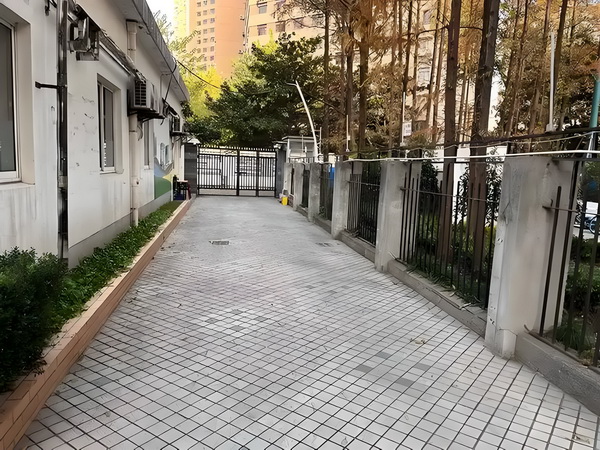 夏之花